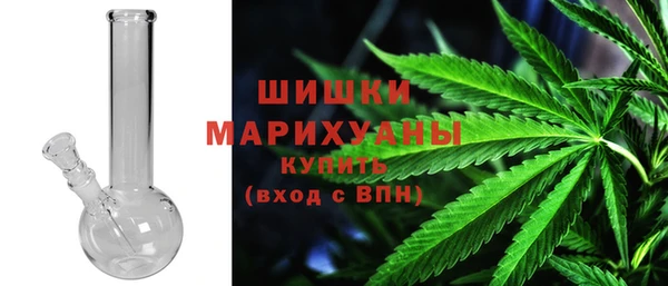 мдпв Верея