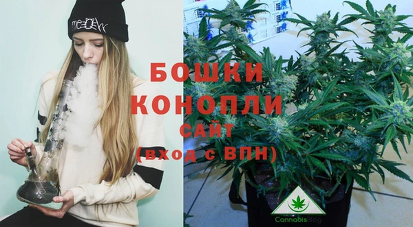 мдпв Верея