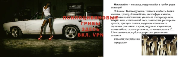 спиды Верхний Тагил
