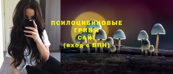 мдпв Верея
