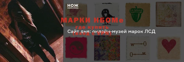 мдпв Верея