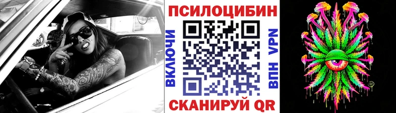 Галлюциногенные грибы Cubensis  Купить  Томари 